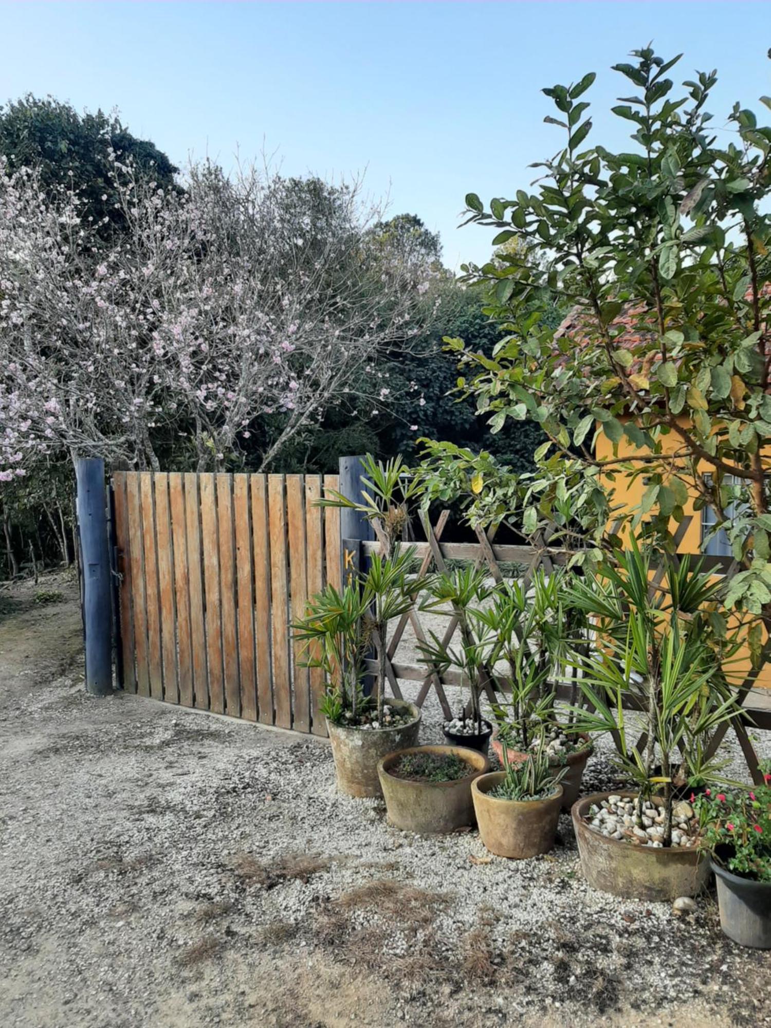 Casa Kiiro, um ambiente tranquilo e de sossego. Santo Antônio do Pinhal Exterior foto