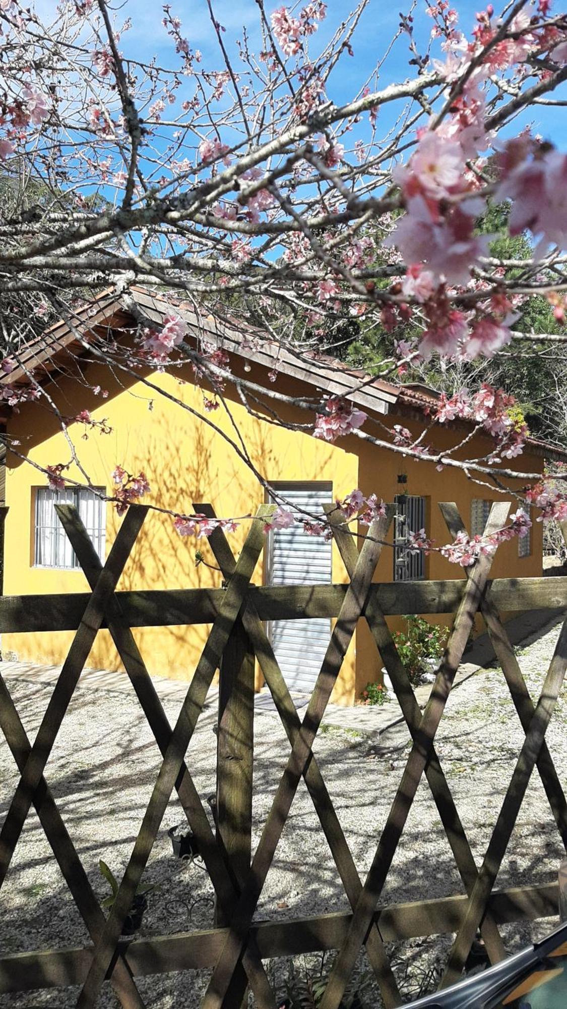 Casa Kiiro, um ambiente tranquilo e de sossego. Santo Antônio do Pinhal Exterior foto